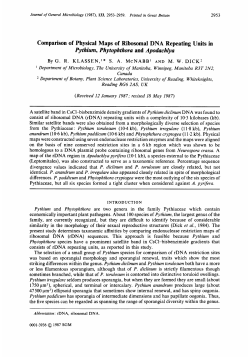 Comparison of Physical Maps of Ribosomal DNA Repeating Units in