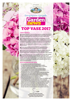 Top Vase Rules