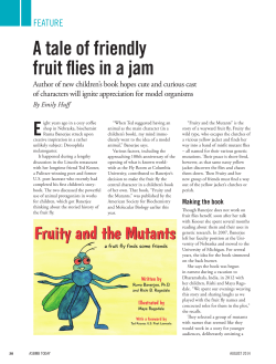 A tale of friendly fruit flies in a jam