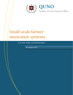 SSF Innovation Systems - Literature Review