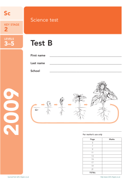 Test B