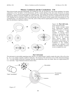 Mitosis, Cytokinesis and the Cytoskeleton CS6