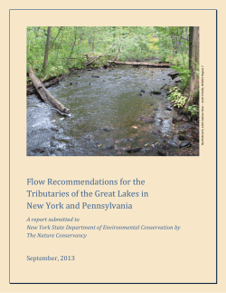 Flow recommendations for the tributaries of the Great Lakes in New