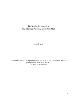 Do Not Make America The Melting Pot That Does Not Melt