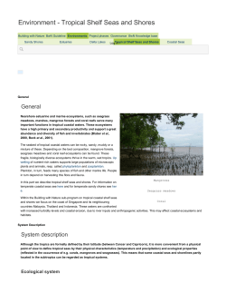 Environment - Tropical Shelf Seas and Shores