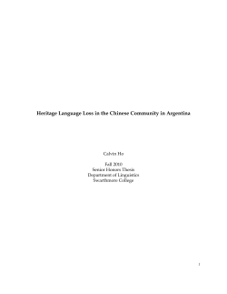 Heritage Language Loss in the Chinese Community in Argentina