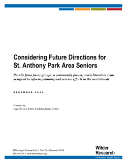 to view the Wilder Research Report