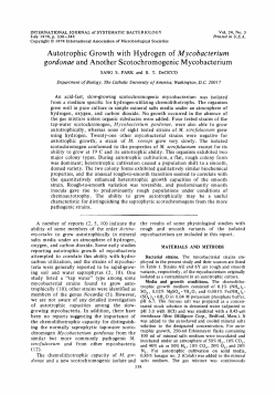 Autotrophic Growth with Hydrogen of Mycobacterium gordonae and