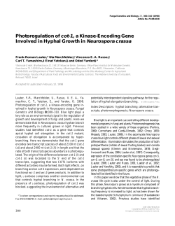 Photoregulation of cot-1,a Kinase
