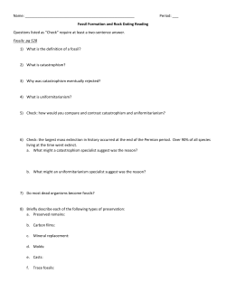 Fossil Formation and Rock Dating Reading