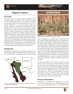 Overview - Learning Center of the American Southwest