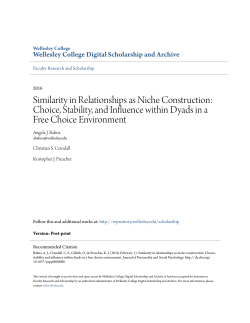 Similarity in Relationships as Niche Construction: Choice, Stability