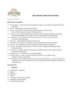 Rain Garden Activities - Stratford Ecological Center
