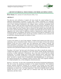 A Review of Original Tissue Fossils and their Age