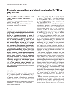 Promoter recognition and discrimination by Es RNA polymerase
