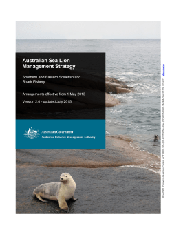 Australian Sea Lion Management Strategy