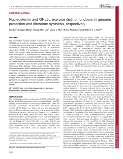 Nucleostemin and GNL3L exercise distinct functions in genome