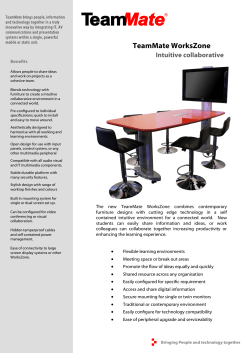 TeamMate WorksZone