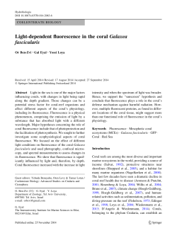 Light-dependent fluorescence in the coral Galaxea fascicularis