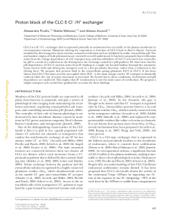 Proton block of the CLC