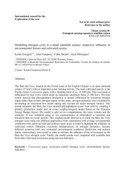 Modelling nitrogen cycle in a small intertidal estuary: respective