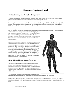 Nervous System - Seymour Results MD Denton TX Hormone