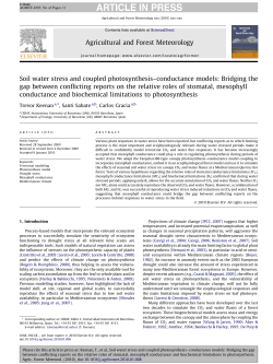 Soil water stress and coupled photosynthesis&ndash;conductance models