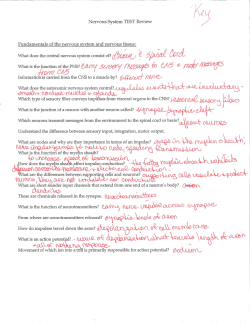 Nervous System TEST Review What is th .on f t PNS? / J#. / //r 4 _ 9