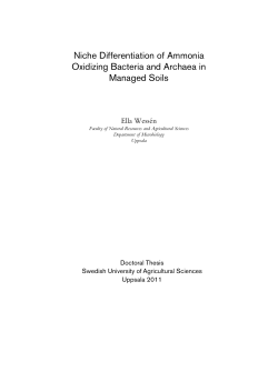 Niche Differentiation of Ammonia Oxidizing Bacteria and Archaea in