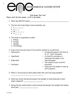 Earth Connections, Grade 5, Multiple Choice