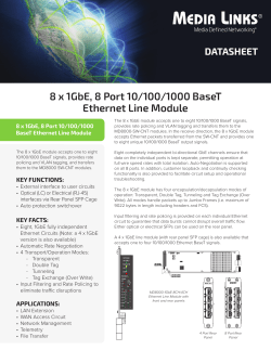 8 x 1GbE, 8 Port 10/100/1000 BaseT Ethernet Line
