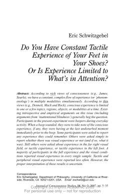 Experience Without Attention? - Faculty Support Site