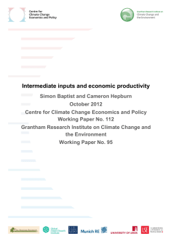 Intermediate inputs and economic productivity