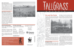 Fire and the Prairie