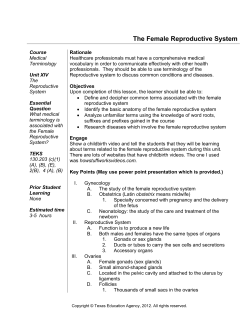 The Female Reproductive System