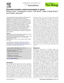 Essential transition metal homeostasis in plants
