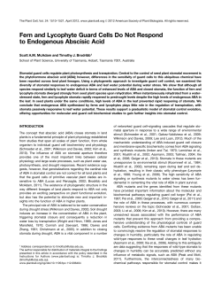 Fern and Lycophyte Guard Cells Do Not Respond to