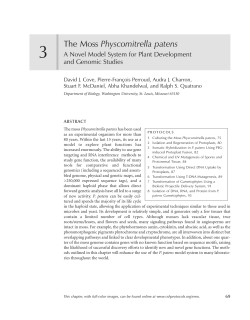 The Moss Physcomitrella patens