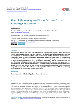 Use of Mesenchymal Stem Cells to Grow Cartilage and Bone