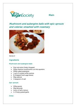 Festive Menu: Main pdf