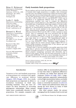 Early hominin limb proportions - gwu