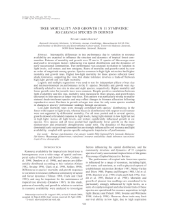tree mortality and growth in 11 sympatric macaranga species in