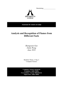 Analysis and Recognition of Flames from Different Fuels