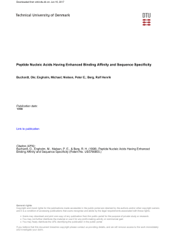 Peptide Nucleic Acids Having Enhanced Binding Affinity