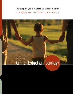 Crime Reduction Strategy