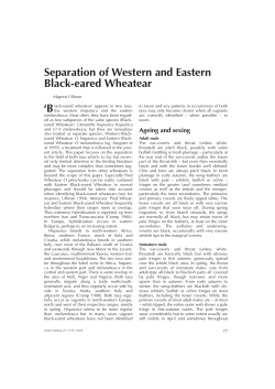 Separation of Western and Eastern Black-eared