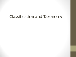 Evolutionary Classification