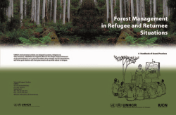 Forest management in refugee and returnee situations
