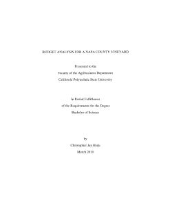 Budget Analysis for a Napa County Vineyard