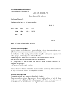 (IISemester) Examination, 2013 Zoology III LBZS 203: CHORDATE